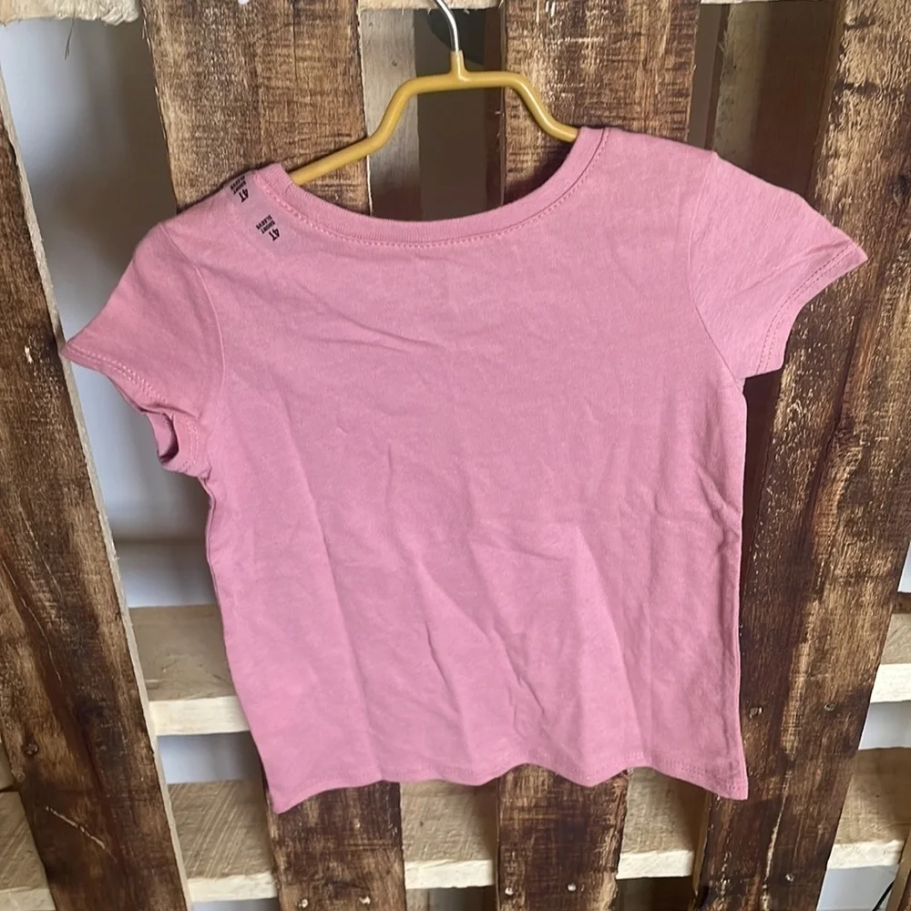 The children’s Place Tee girls short sleeve pink Daddys little princess top 4T